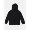 imageLevis Boys Soft Knit Graphic Pullover HoodieBlackRed