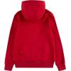 imageLevis Boys Soft Knit Graphic Pullover HoodieChili PepperSherpa