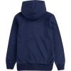 imageLevis Boys Soft Knit Graphic Pullover HoodieDress Blues