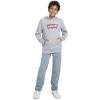 imageLevis Boys Soft Knit Graphic Pullover HoodieGrey