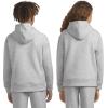 imageLevis Boys Soft Knit Graphic Pullover HoodieLight Grey Heather