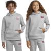 imageLevis Boys Soft Knit Graphic Pullover HoodieLight Grey Heather