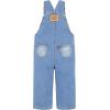 imageLevis UnisexBaby And Toddler OverallBasil Sky