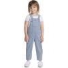 imageLevis UnisexBaby And Toddler OverallEver Afternoon