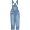 imageLevis Girls Denim OverallPalisades