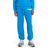 imageLevis Mens Seasonal SweatpantsCloisonne