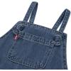 imageLevis babyboys And Baby Denim ShortallHometown Blue